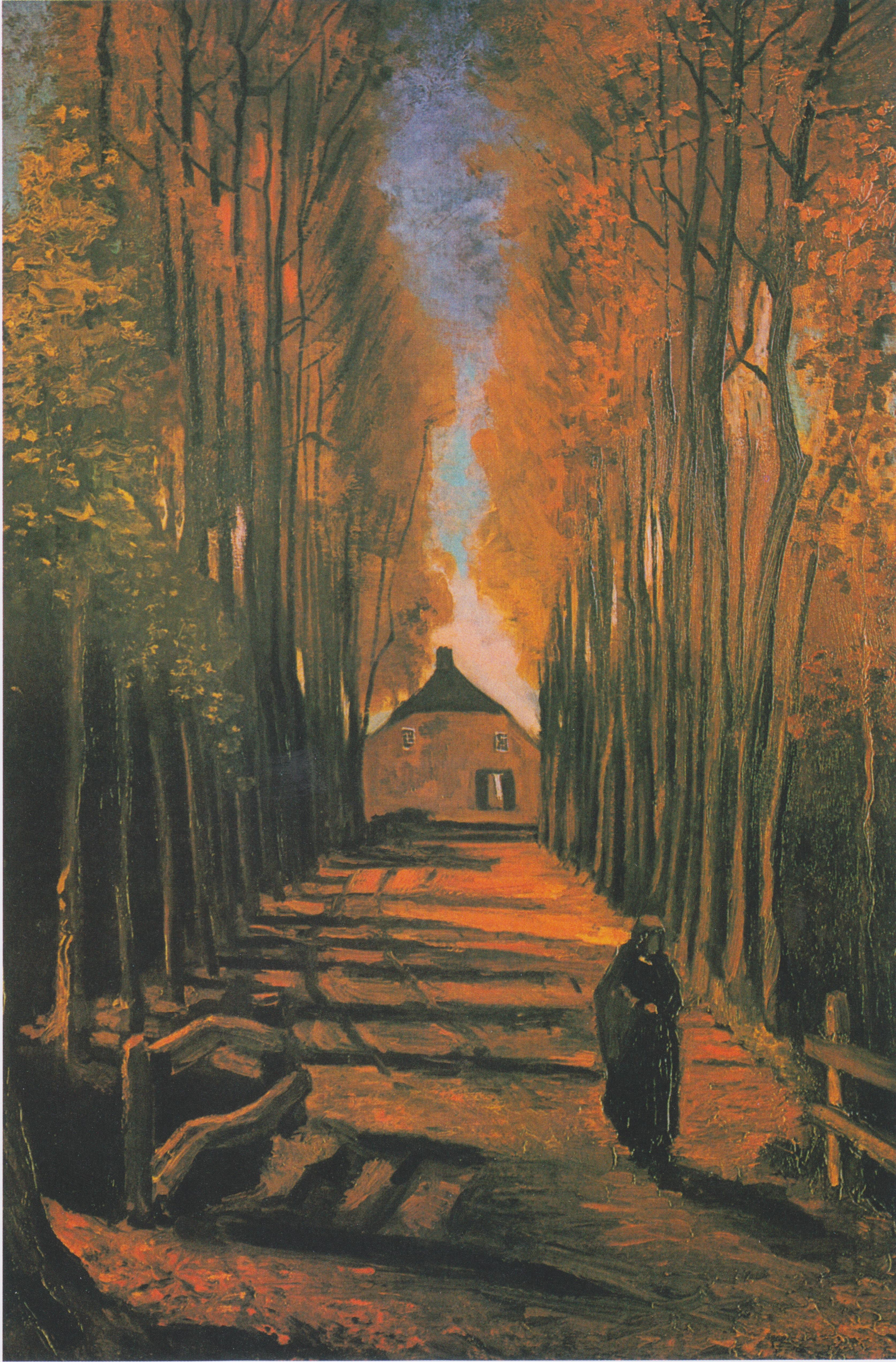 Avenida de álamos en otoño