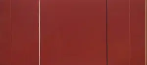 Vir Heroicus Sublimis by Barnett Newman
