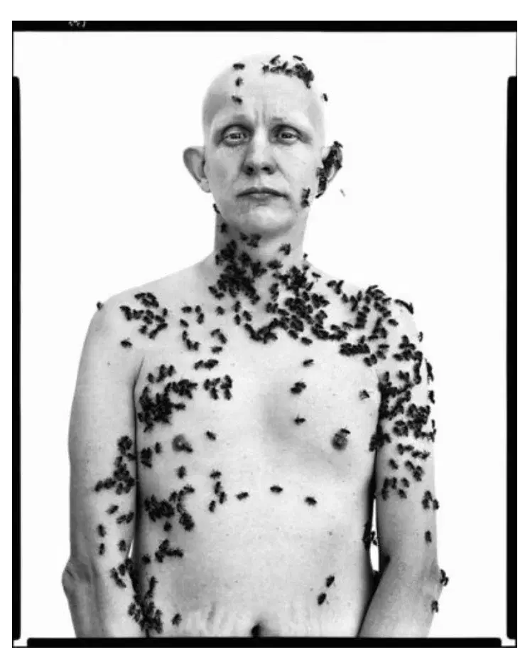 Richard Avedon, Ronald Fischer, beekeeper