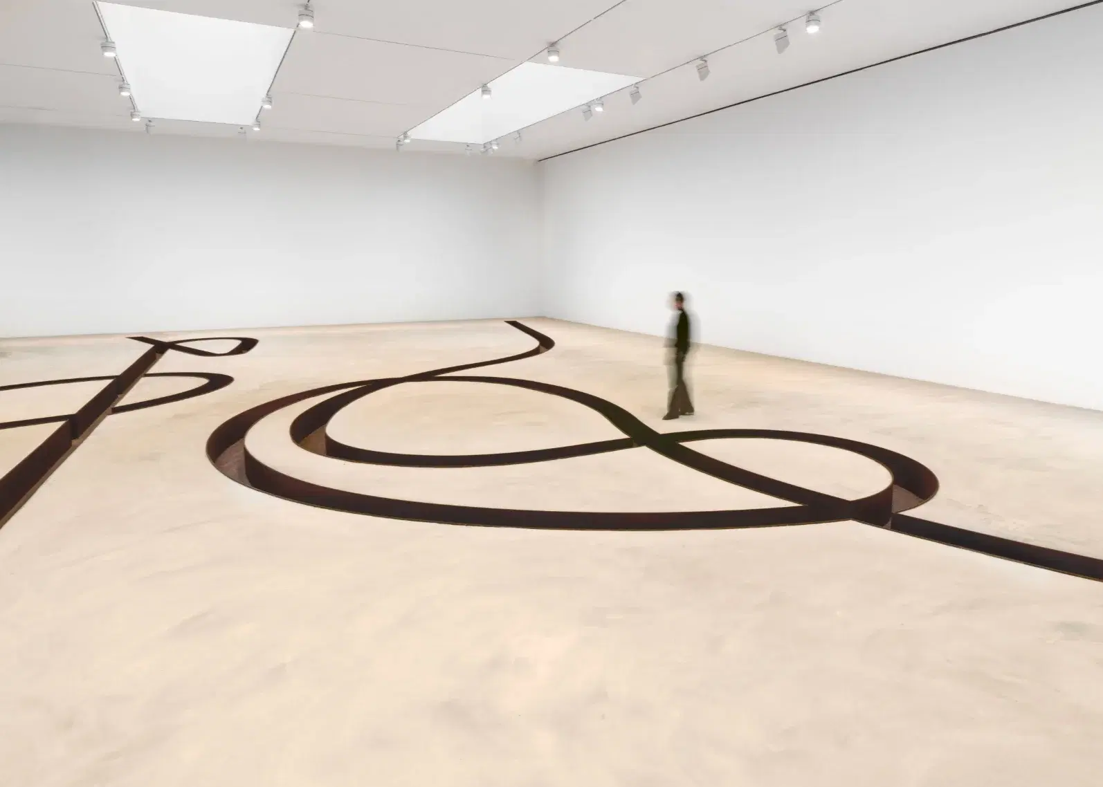Installation view. 