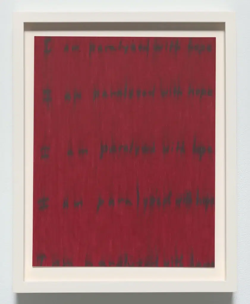Roni Horn Seizure of Hope (81)  2025 Colored wax pencil, graphite on paper