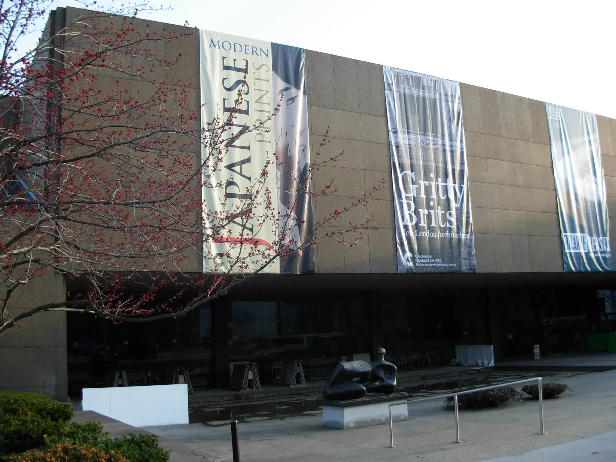 Museo de Arte Carnegie