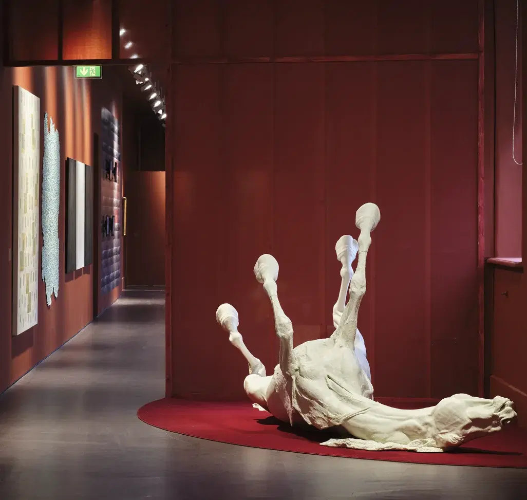 IMMA Collection: Art as Agency