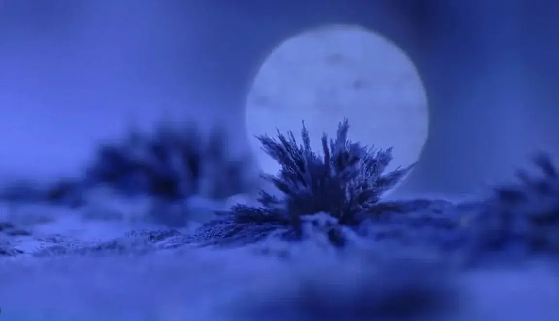 Film still: Sebastián Díaz Morales, #4 El cielo cayendo (Under the Falling Sky) FROZEN-DESERT, 2025. Two-screen video installation, 5.1 Dolby Surround, 13:00 min
